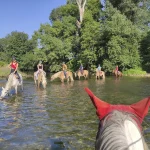 Balade à cheval ou poney adulte et enfant Ardèche Chavetourte